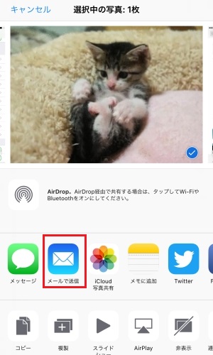 Iphoneでgifが見れない Webや端末上で再生する方法とは Iphone辞典